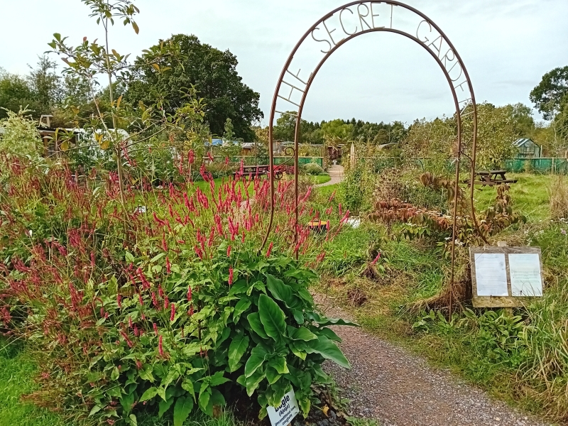 The Potting Shed